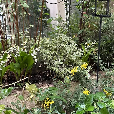 Beausejour Ranelagh 3* Paris