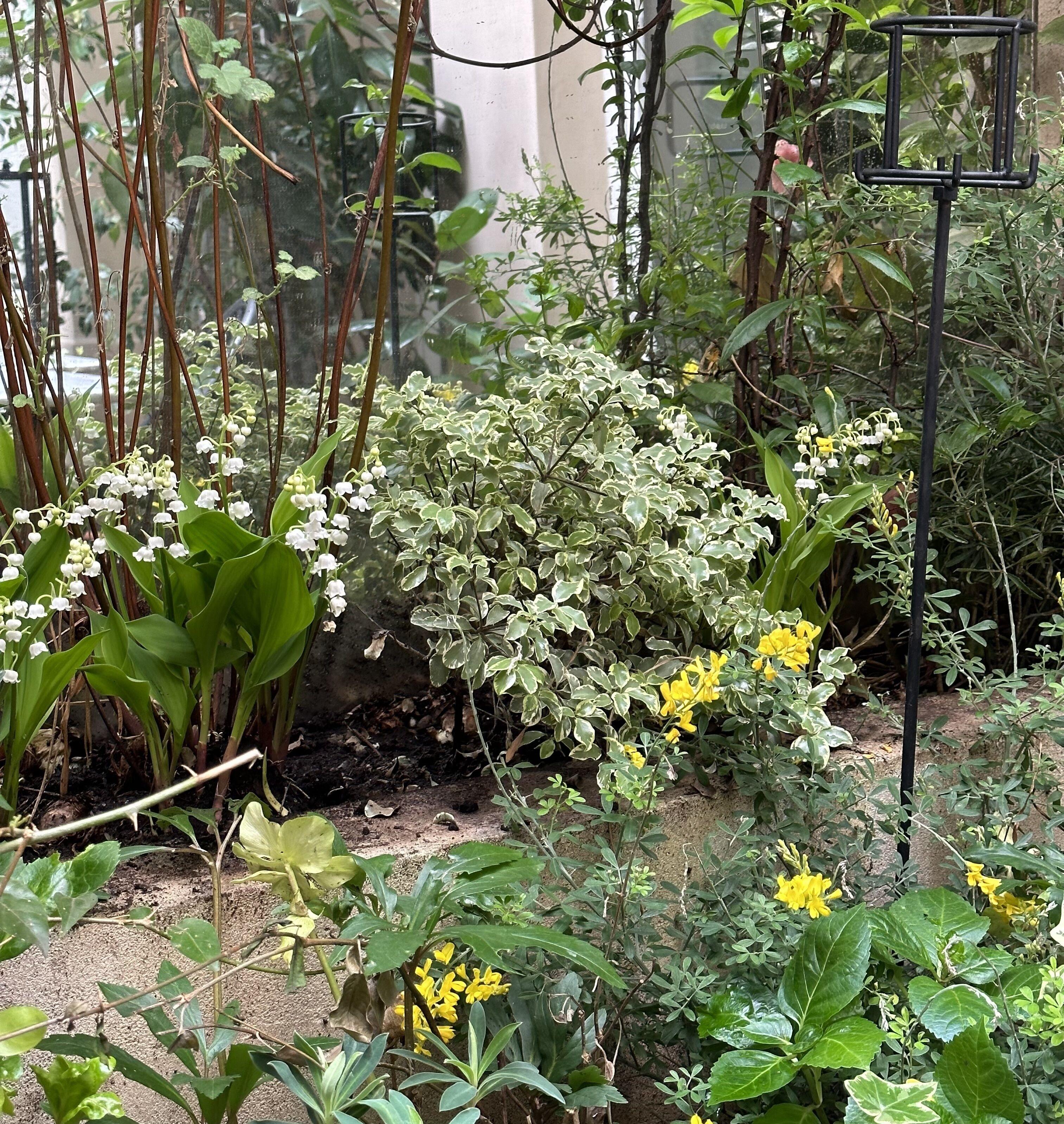 Beausejour Ranelagh 3* Paris